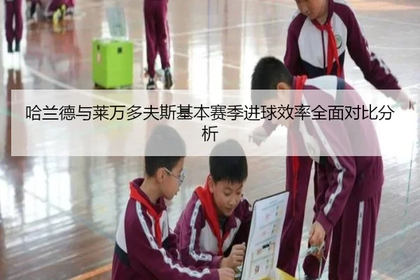 哈兰德与莱万多夫斯基本赛季进球效率全面对比分析